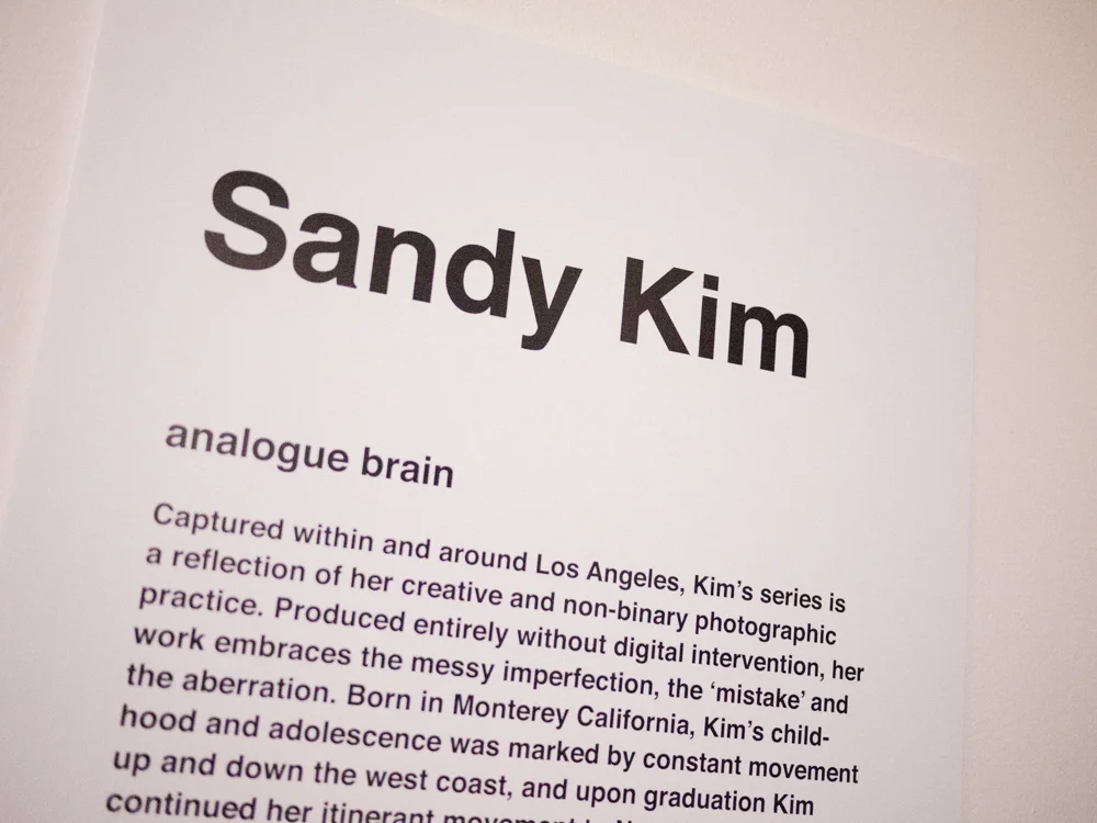 sandy kim — Daily Journal Autre Magazine